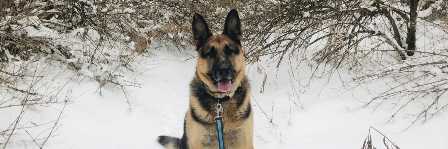lexilane55's profile banner image