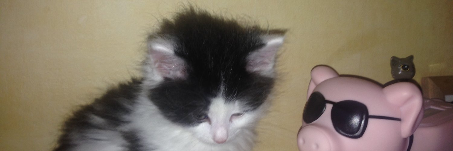 Spockycat's profile banner image