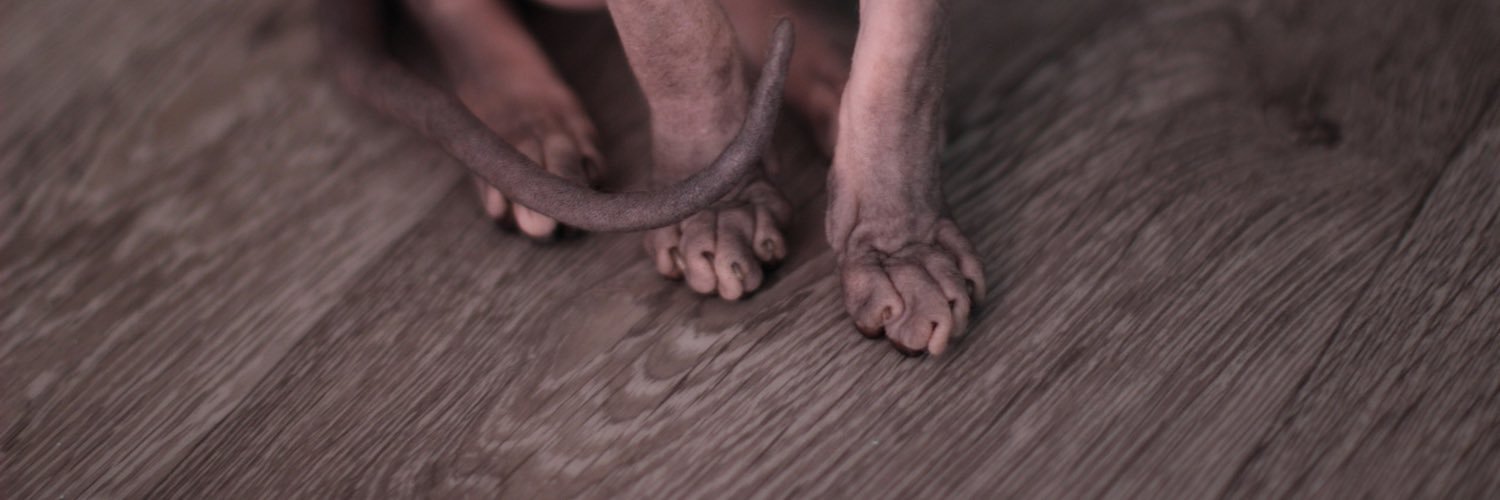 AltynChachak's profile banner image