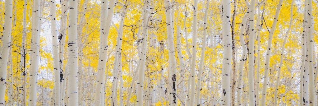 johncbuie's profile banner image