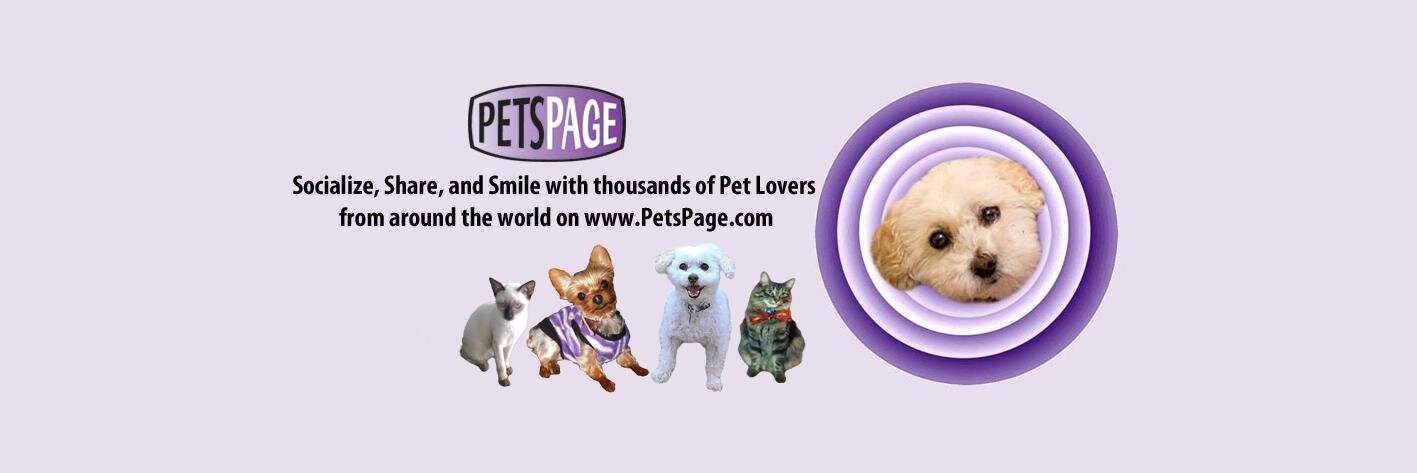 TinksPetspage's profile banner image