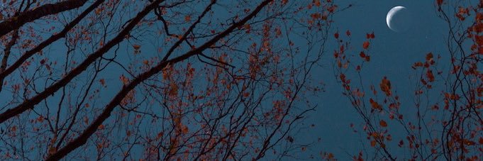 neptune_24's profile banner image