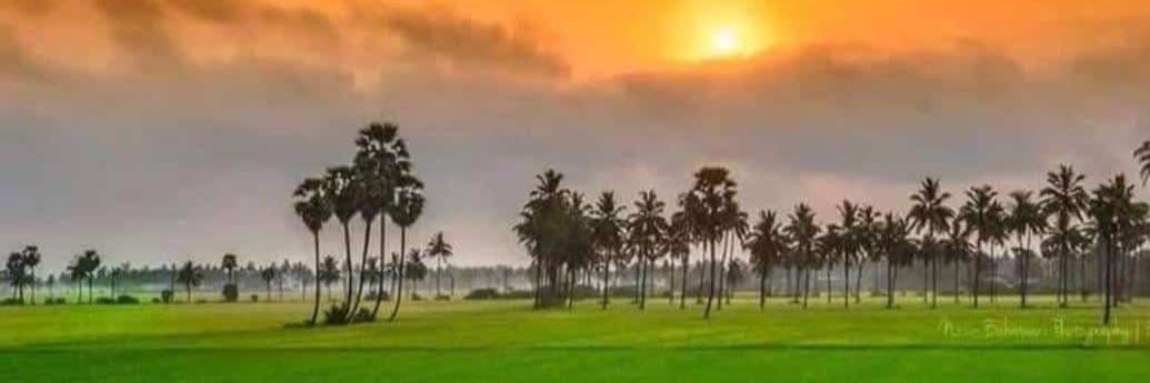 Nilanjan Gantait | নীলাঞ্জন গাঁতাইত 🇮🇳 banner