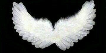 angelitam5000's profile banner image