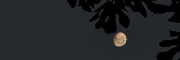 JorgeLara1 Profile Banner