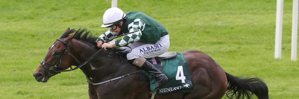 donohoeblsk Profile Banner