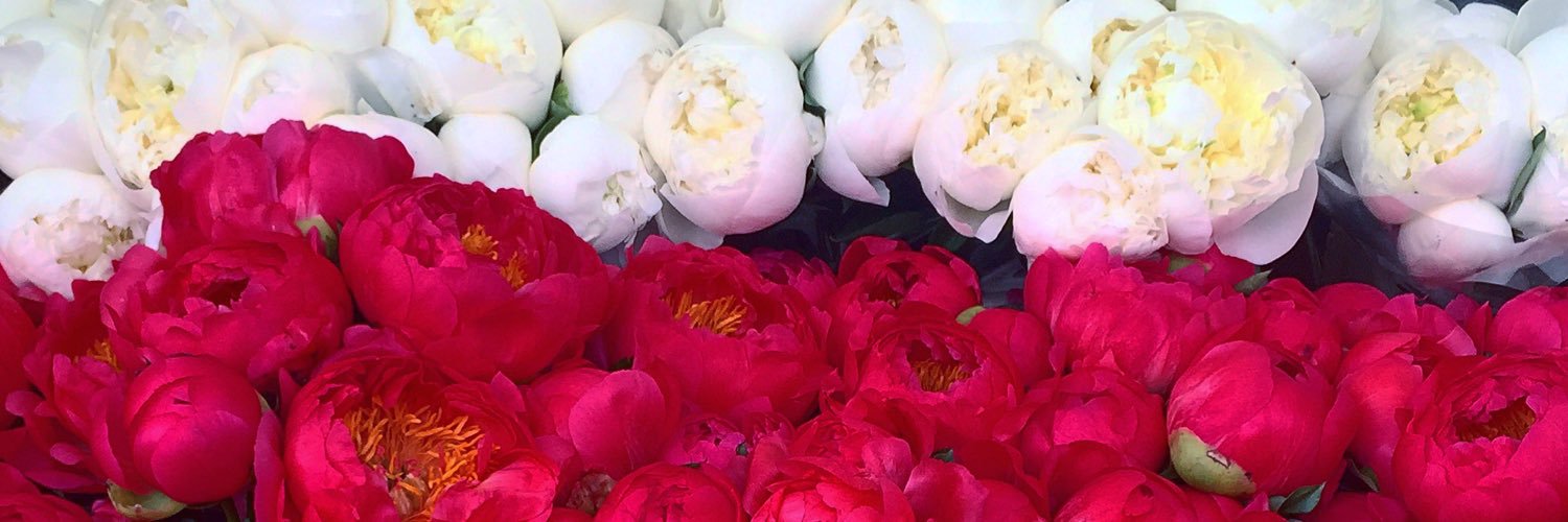 sophhibb's profile banner image