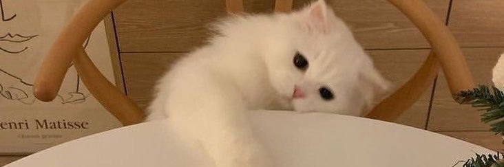 sollebus_'s profile banner image
