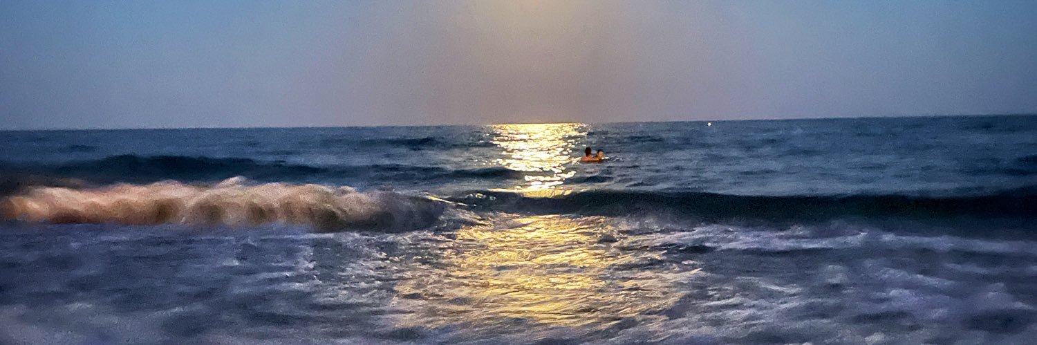 Javier del Campo banner