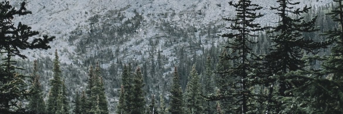 An_Kml's profile banner image