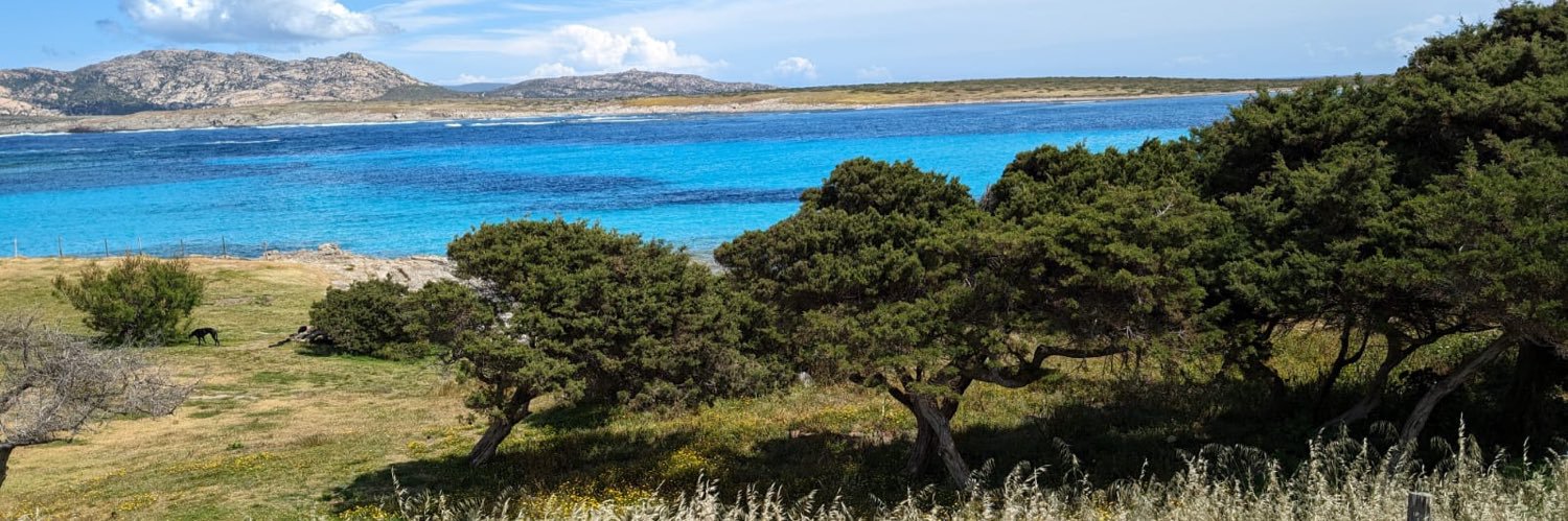 Caroline Stevens banner
