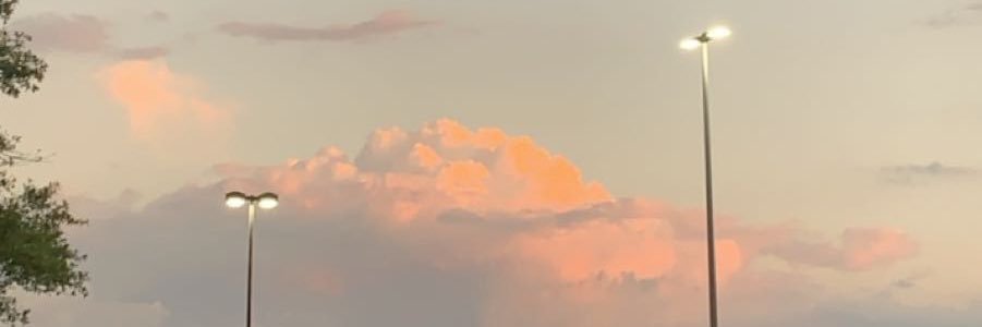 sarcuster's profile banner image