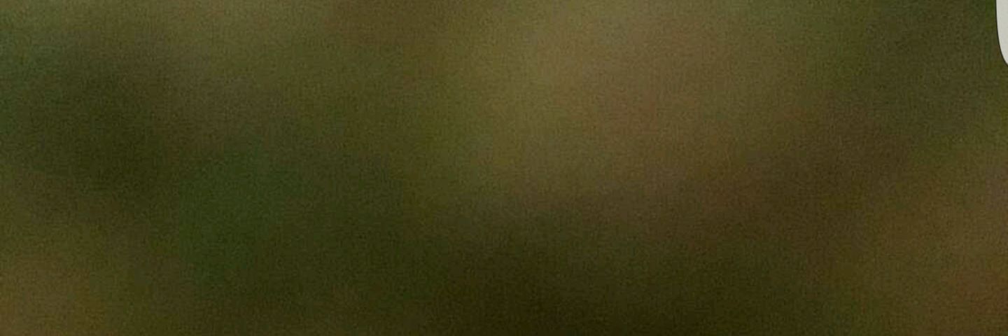 almtum507's profile banner image