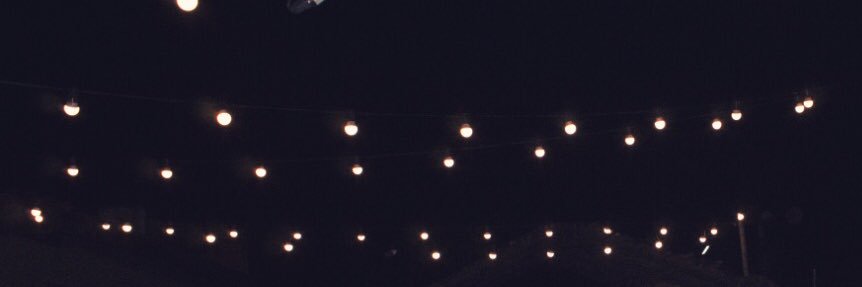 delfibuteler's profile banner image
