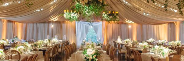 bethhelmstetter Profile Banner