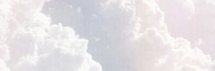 shosho_n's profile banner image