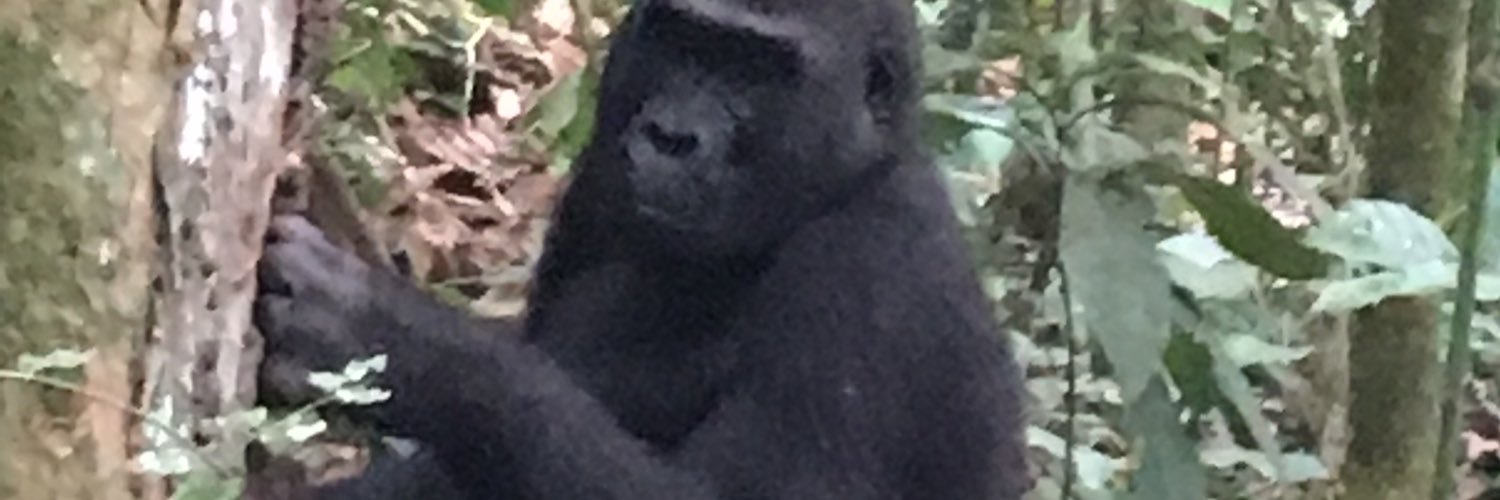 kumah_fred's profile banner image
