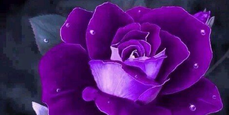 lindaloca57's profile banner image