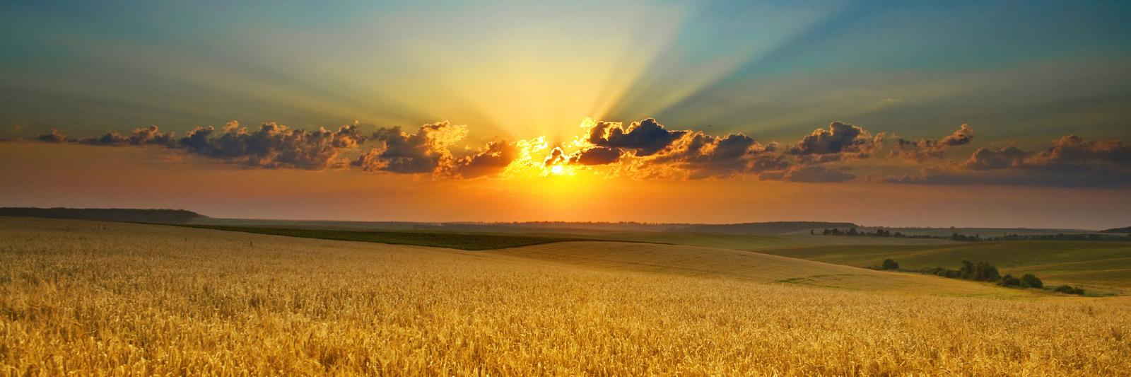 William Branham banner