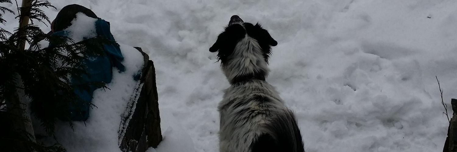 randyjscott77's profile banner image