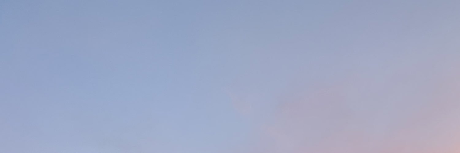 settledown1D_'s profile banner image