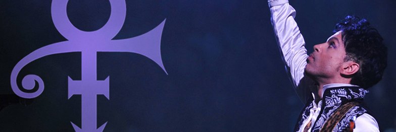 Vanda Biffani banner