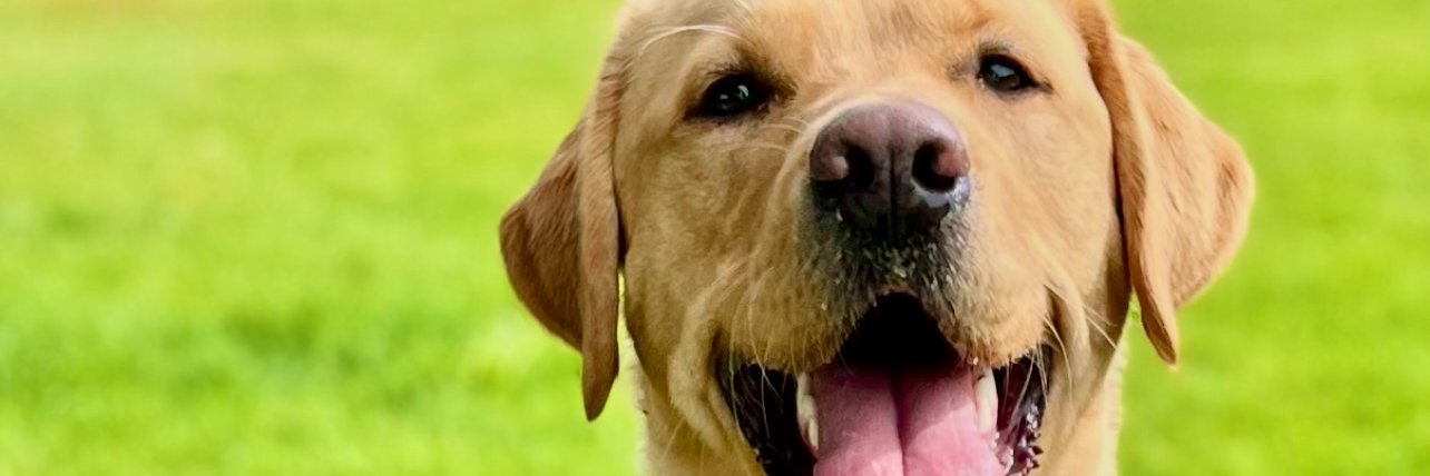 Jason Simpson • Here and there. banner