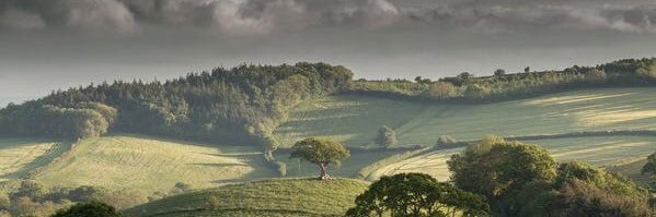 call me later banner