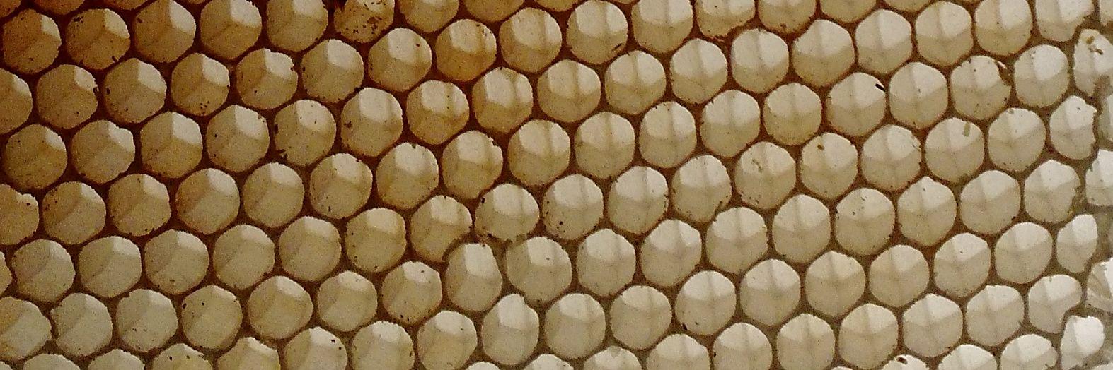 Marko Gargenta banner