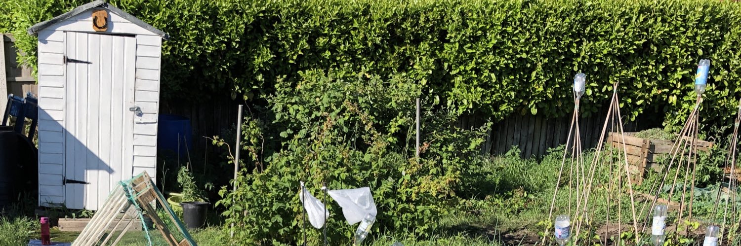 🌱son of Ian🌱 banner