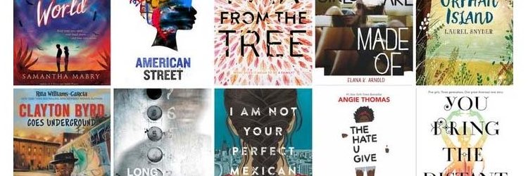 APS Secondary ELA banner