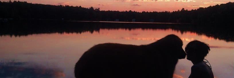 TallyAtwater's profile banner image