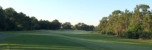 Martin Hall Profile Banner