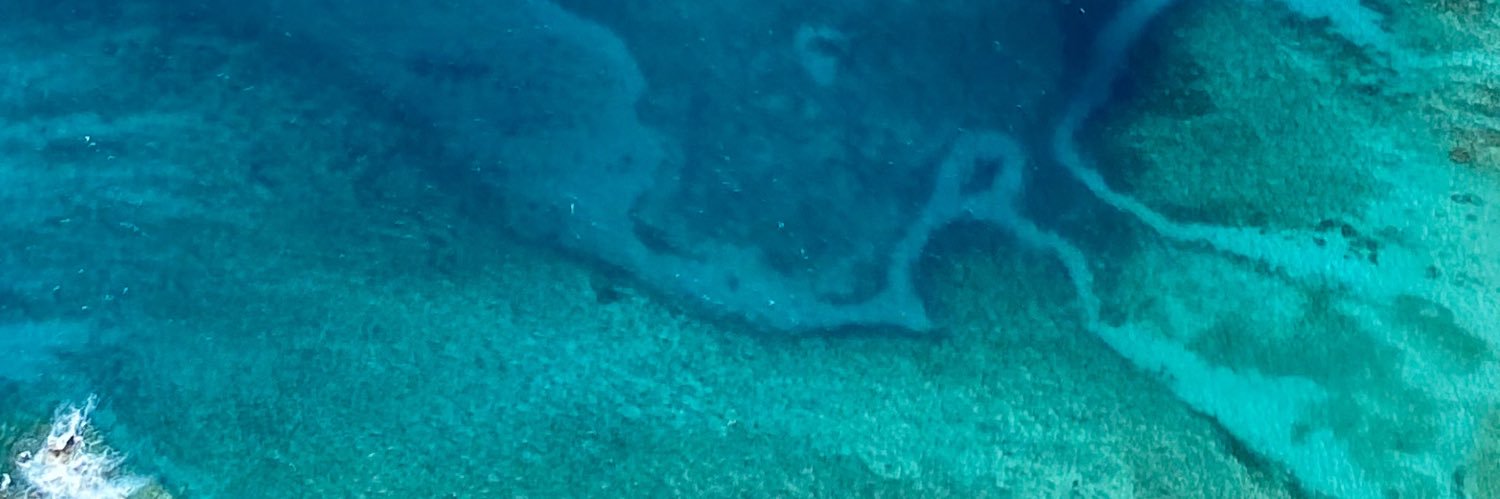 squidneyj's profile banner image