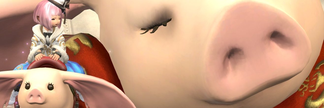 shurei0910's profile banner image