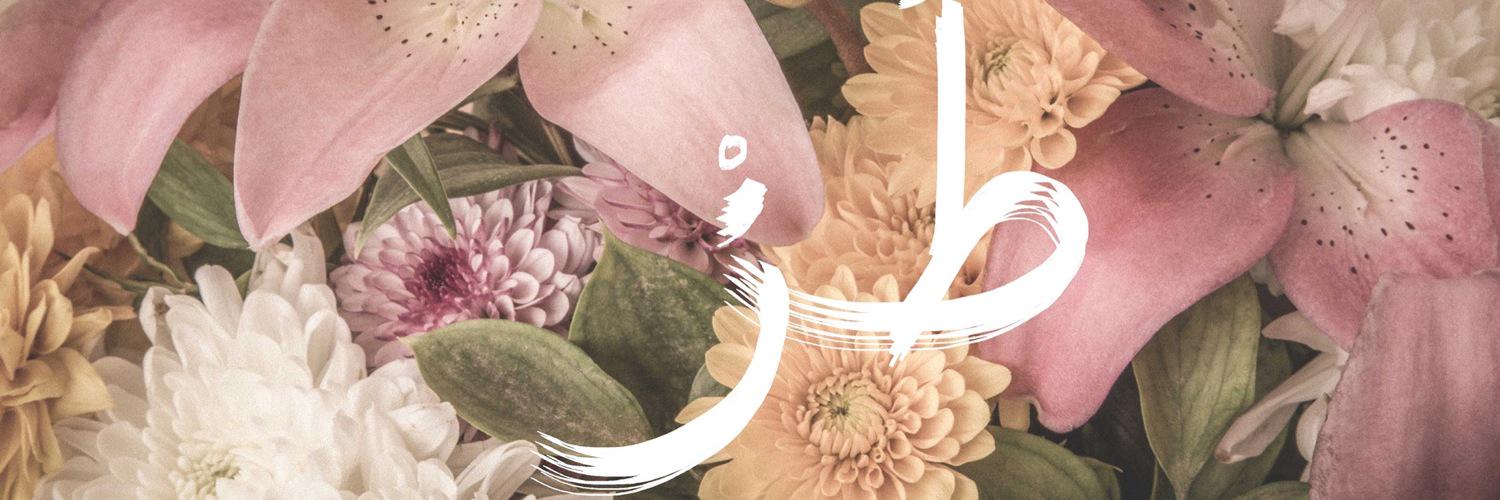 AishaAlshabrawy's profile banner image