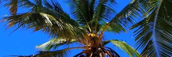 Danyq22_'s profile banner image