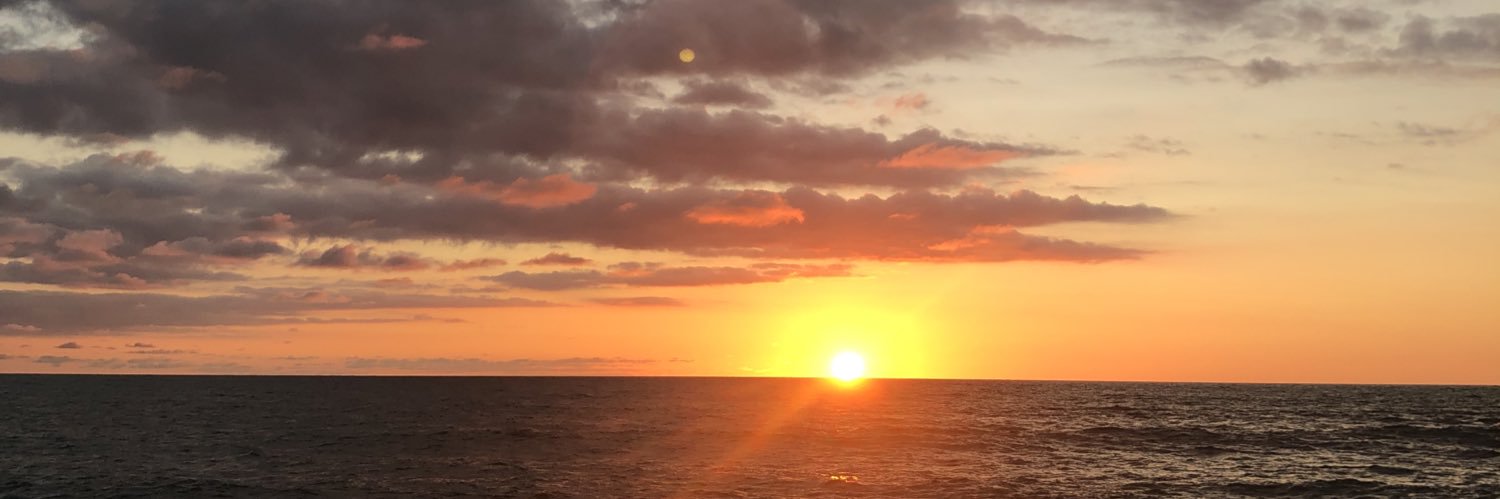 lauriane🌊 banner