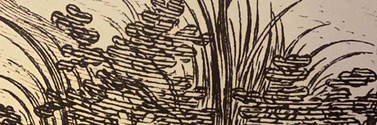 FredFass's profile banner image