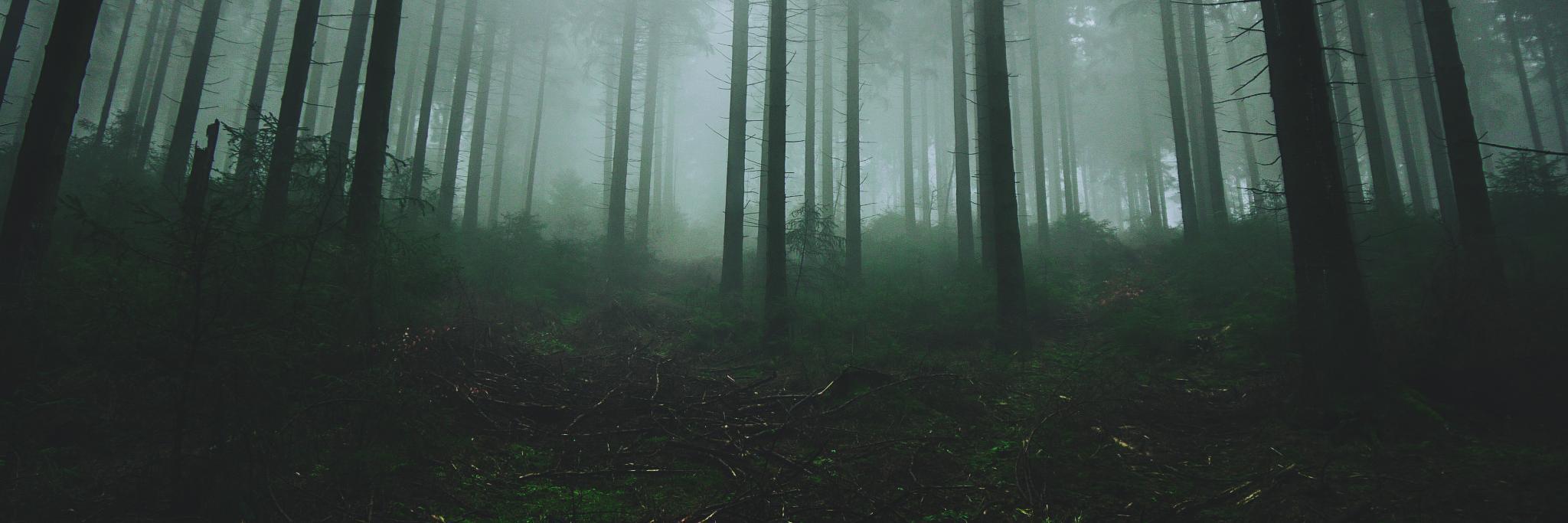 mateussihombing's profile banner image