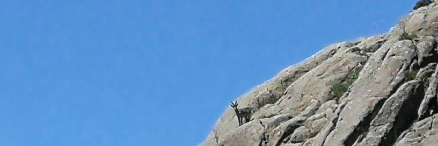 aarrodrigues's profile banner image
