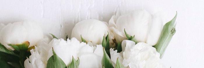 jillcornell's profile banner image