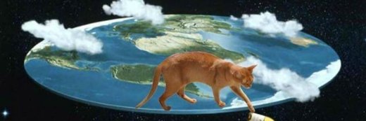 Murd3rcat's profile banner image