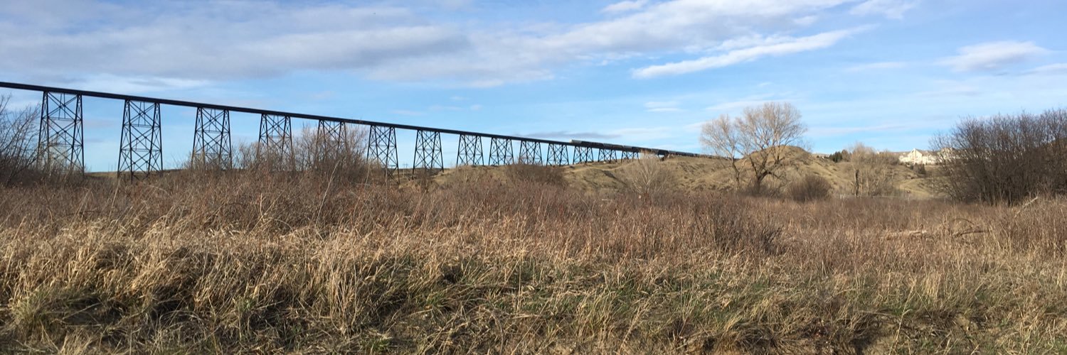 Democracy Mob banner