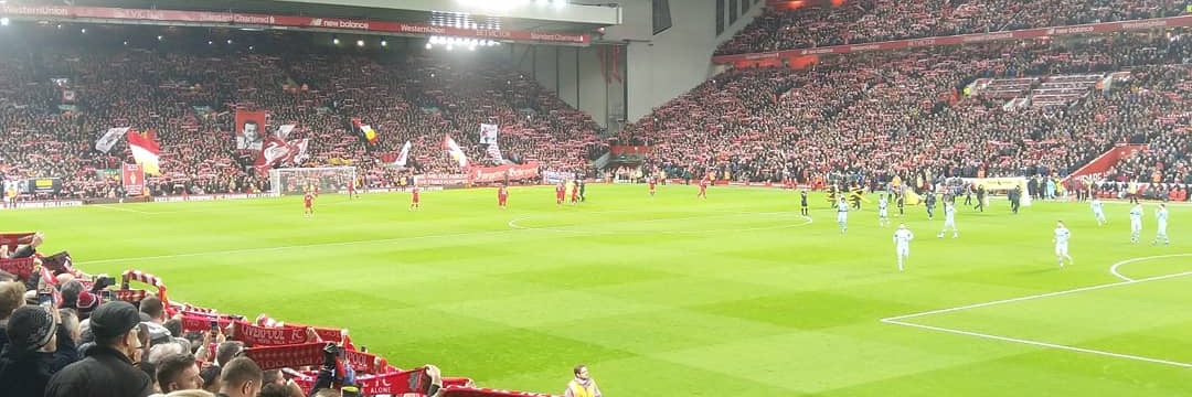 Alex banner