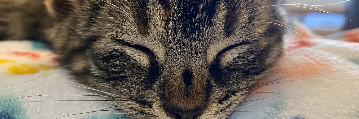 hi_may2's profile banner image