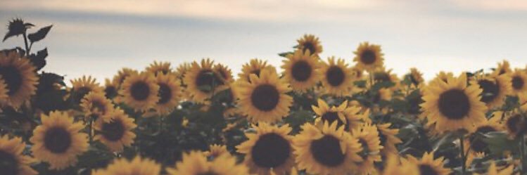 alexajulius__'s profile banner image
