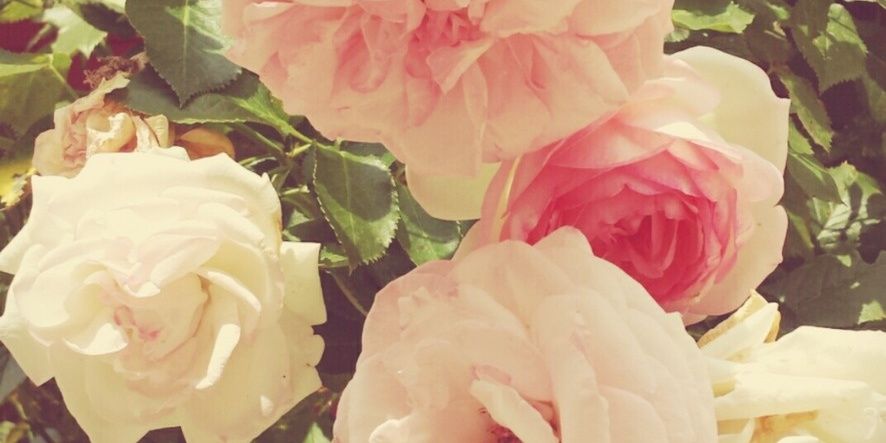 ssolvu's profile banner image