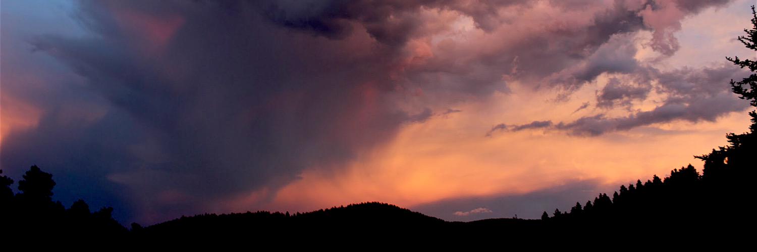 lilipaici's profile banner image