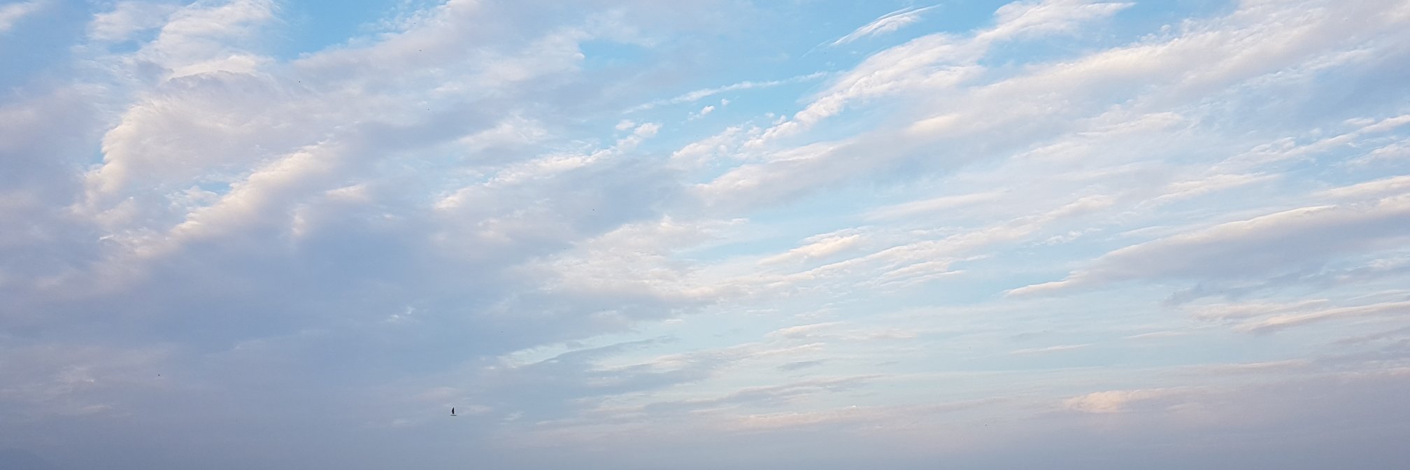 Brigitte Zanda banner